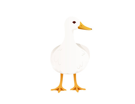 Cute duck white flying goose cartoon animal design vector illustration on white background.のイラスト素材