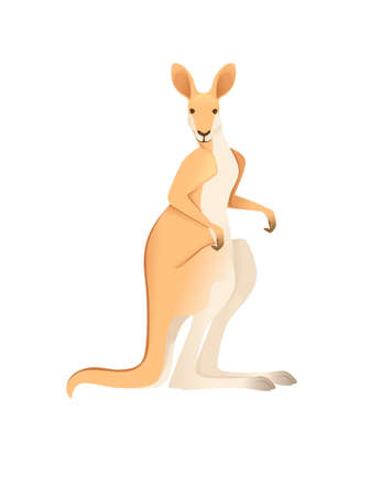 Cute adult kangaroo australian animal cartoon animal design vector illustration isolated on white background.のイラスト素材