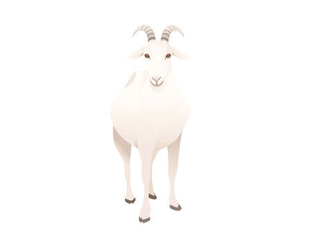 Cute adult white goat farm animal cartoon animal design vector illustration isolated on white backgroundのイラスト素材