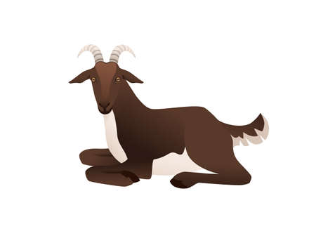 Cute adult brown goat lying on ground farm animal cartoon animal design vector illustration isolated on white backgroundのイラスト素材