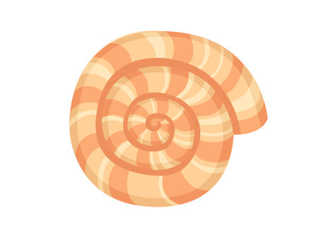 Colorful tropical underwater shell cartoon design vector illustration isolated on white background.のイラスト素材