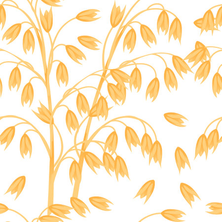 Seamless pattern Oat agriculture plant with ears grain vector illustration on white background.のイラスト素材