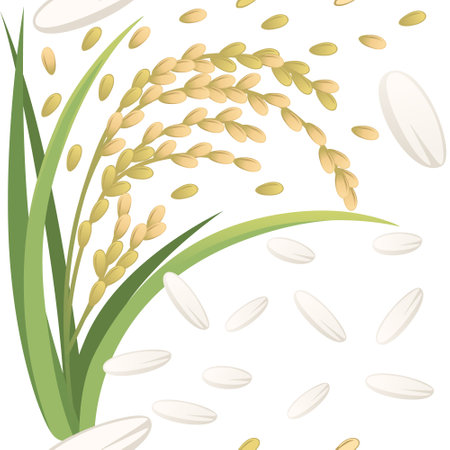 Seamless pattern Asian agriculture rice plant with ears white grain vector illustration on white background.のイラスト素材