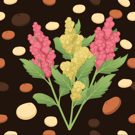 Seamless pattern Quinoa agriculture plant with seeds grain vector illustration on dark background.のイラスト素材