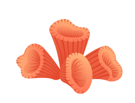 Red coral tropical underwater sea life vector illustration isolated on white background.のイラスト素材