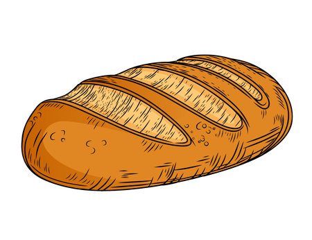 Fresh tasty white bread hand drawn style vector illustration isolated on white background.のイラスト素材