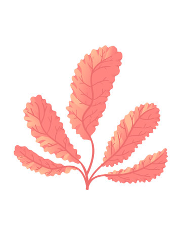 Red color underwater seaweed vector illustration isolated on white background.のイラスト素材