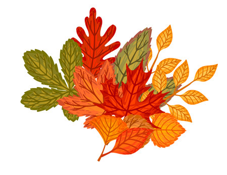 Pile of different autumn leaves vector illustration on white background.のイラスト素材