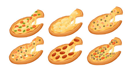 Set of different types of pizza vector illustration isolated on white background.のイラスト素材