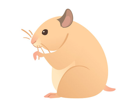 Light brown hamster cute cartoon animal design vector illustration isolated on white background.のイラスト素材