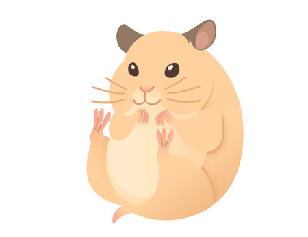 Light brown hamster cute cartoon animal design vector illustration isolated on white background.のイラスト素材