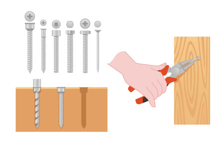 Collection of different types of screw vector illustration isolated on white backgroundのイラスト素材