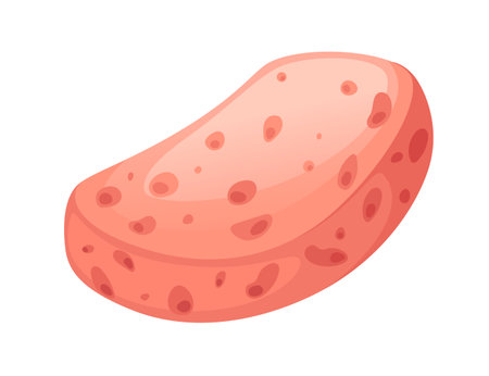 Soft red bath sponge hygiene washing tool vector illustration isolated on white background.のイラスト素材