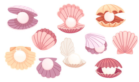 Set of opened and closed pink clam with pearl inside seashell vector illustration isolated on white background.のイラスト素材