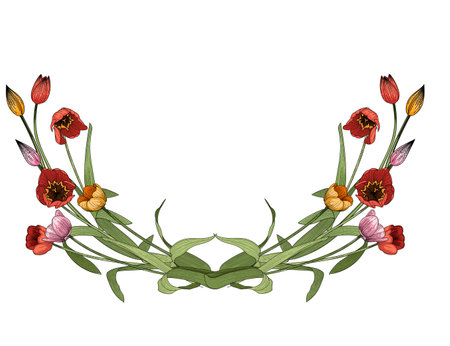 Set of three tulips flower hand drawn colorful sketch for drawing book vector illustration isolated on white backgroundのイラスト素材