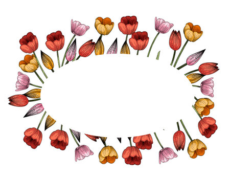 Set of three tulips flower hand drawn colorful sketch for drawing book vector illustration isolated on white backgroundのイラスト素材