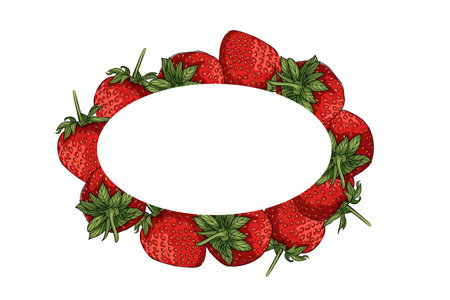 Frame  for a postcard with fresh bright strawberries with green leaves vector illustration isolated on white background.のイラスト素材