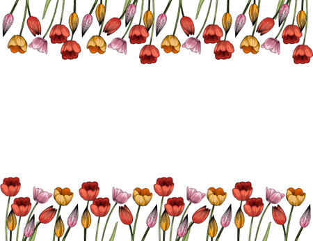 Set of three tulips flower hand drawn colorful sketch for drawing book vector illustration isolated on white backgroundのイラスト素材