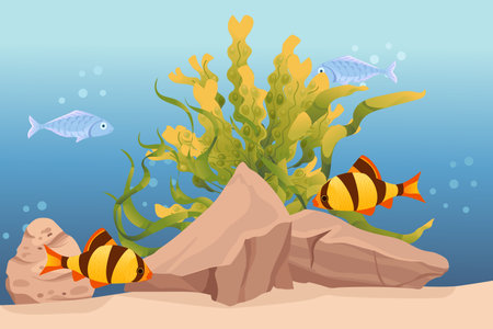 Aquarium with fishes grass stones and decorative items vector illustration isolated on white background.のイラスト素材