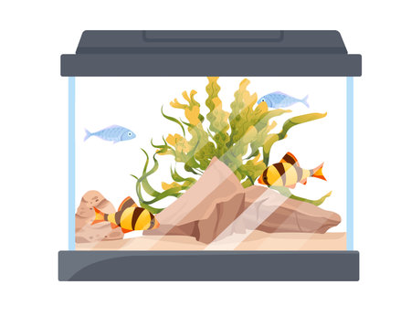 Rectangular glass aquarium with fishes grass stones and decorative items vector illustration isolated on white background.のイラスト素材