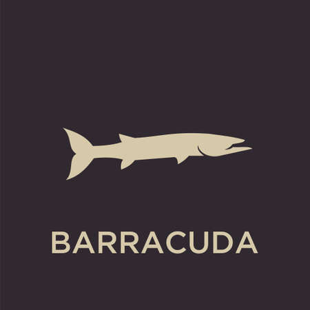 BARRACUDA vector iconのイラスト素材