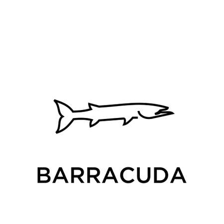 BARRACUDA vector iconのイラスト素材