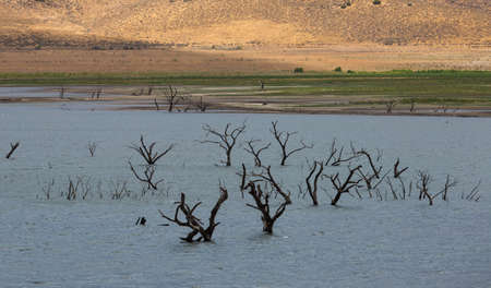 Formerly Lake Isabella, Isabella is a census-designated place CDP in the southern Sierra Nevadas, in Kern County, California, United States. It is located at Lake Isabella, near Kernville.The town of Lake Isabella is located 35 miles 56 km east-northeast の写真素材