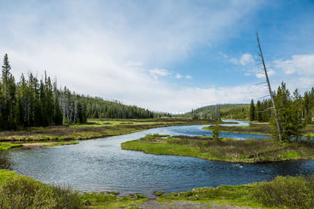 The Yellowstone River meanders through the beautiful Heyden Valley between Yellowstone Lake and the Upper Falls of the Yellowstoneの写真素材