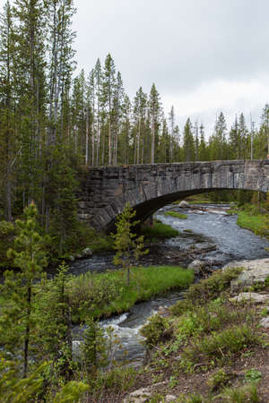 The Yellowstone River meanders through the beautiful Heyden Valley between Yellowstone Lake and the...