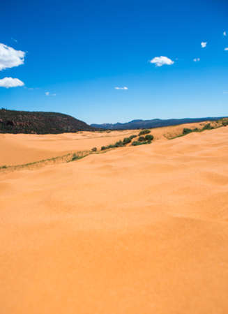 Coral pink san dune in the Utah desert, USAの写真素材