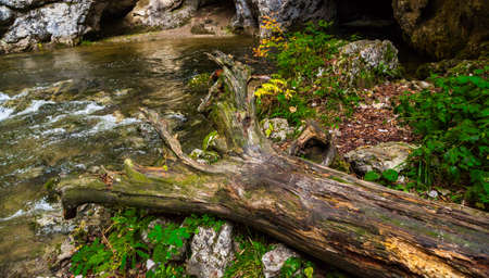 Natural tunnel and bridge in Rakov Skocjan Valleyの写真素材