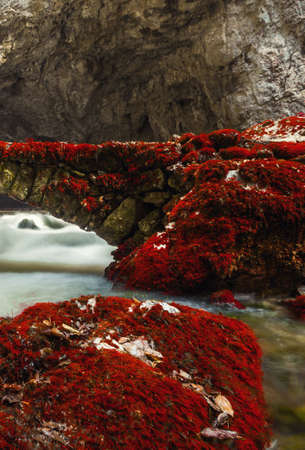 Natural tunnel and bridge in Rakov Skocjan Valleyの写真素材