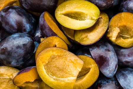 Fresh sliced plums. Blue and violet plums background texture.の写真素材