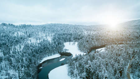 Aerial view of winter snow covered forest landscape. Drone photography collection.