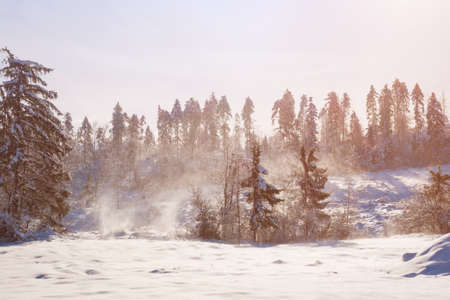 Beautiful Winter landscape with snow covered trees.の写真素材
