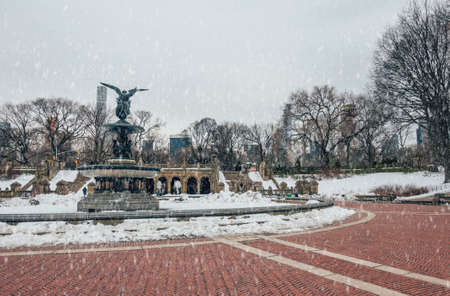 New York City Central Park in snowの写真素材