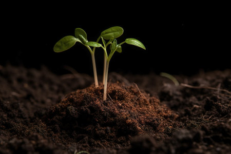 Seedlings growing in soil. Concept ecology and bio. Generative AI.の素材