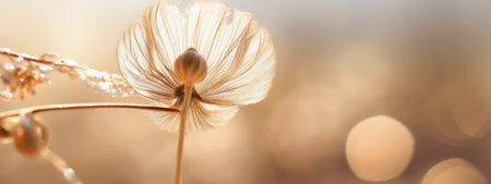 A banner featuring a close-up of a single dried flower with a dew drop, with a light and airy filter that creates a sense of freshness and purity. Generative AIの素材