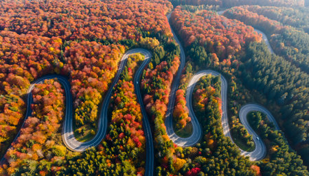 Dramatic aerial view showcasing winding asphalt road with hairpin turns cutting through dense forest displaying spectacular fall foliage in vibrant oranges, reds, and yellowsの素材