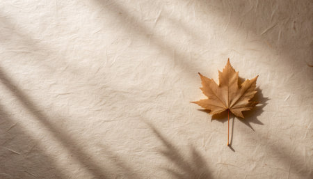 Artistic autumn maple leaf on textured beige handmade paper surface with soft natural lighting and shadow patterns. Perfect for seasonal branding, stationery design, and organic materialの素材