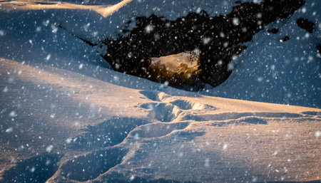 Large bear tracks embedded in pristine snow create dramatic trail toward shadowy cave opening. Heavy snowfall adds atmospheric mood perfect for wildlife, nature documentaries, winterの素材