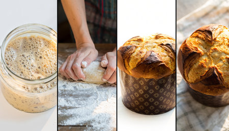 Four-panel montage showcasing complete sourdough bread transformation: active starter with bubbles, hands kneading dough, finished golden loaves in paper molds on marble surfaceの素材