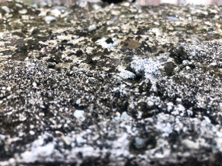 Rough concrete surface covered in moss. Worn cast fence wall backgroundの写真素材