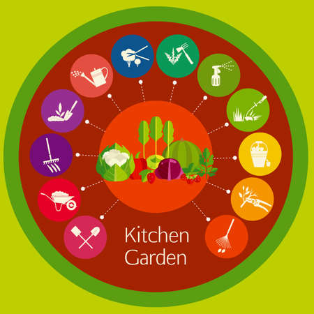 Organic cultivation of vegetables in the kitchen garden. Stages care cultivated plants: planting, digging up the ground, irrigation, fertilizer, spraying, weed control, harvesting in the garden.のイラスト素材