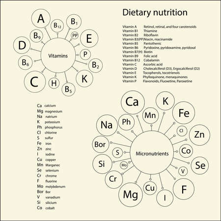Essential vitamins and trace elements necessary for human health. Schematic representation and lists short and full names of the items.のイラスト素材