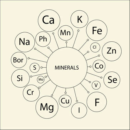 Basic micronutrients and macronutrients (minerals) necessary for human health, including children's health. Conditional scheme mineral names. Contour picture on a light background.のイラスト素材