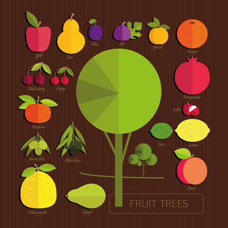 The fruits of fruit trees. Colorful fruits and tree on dark brown striped background. Set. Gardening.のイラスト素材