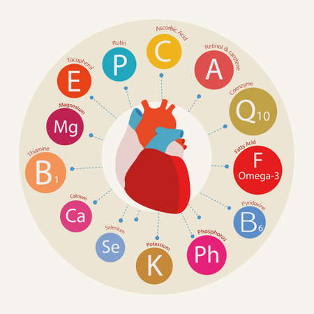 Schematic representation of the heart and the basic substances required for normal cardiac activity.  Nutrition and Heart Health.のイラスト素材