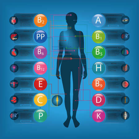 Effect of vitamins on the organs and systems of the human body. Name and brief description of the essential vitamins. Visual scheme.のイラスト素材
