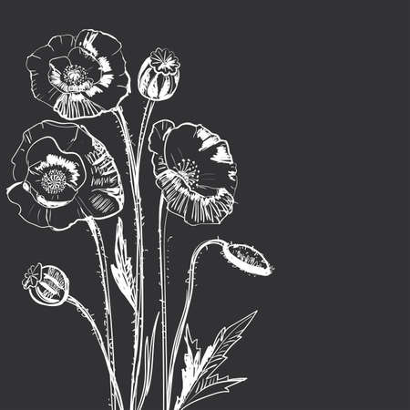 Hand drawing of a flower - poppy. 
Dark background light pattern.のイラスト素材